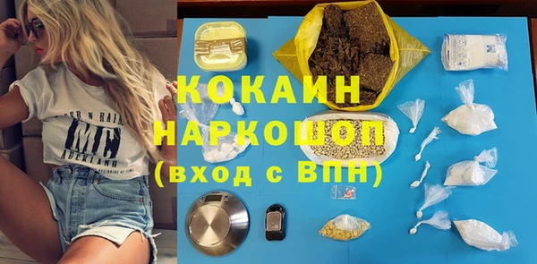 2c-b Новозыбков
