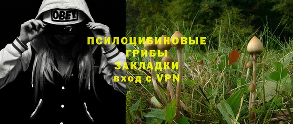 мет Новодвинск