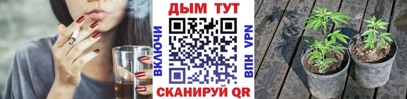 МАРИХУАНА гибрид  Подпорожье 